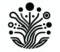 NeXa group